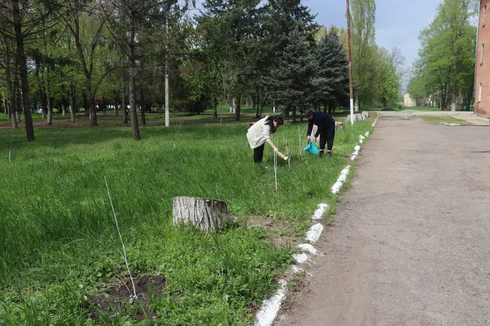 ДШИ пос. Венцы. Экологический субботник Зеленая Весна
